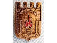 14225 Badge - USSR cities - Stavropol