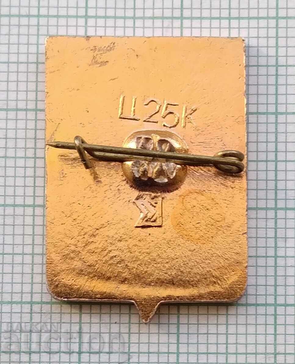 Auction 14231 Badge - USSR cities - Medzhibozh Auction 14231 Badge - USSR cities - Medzhibozh