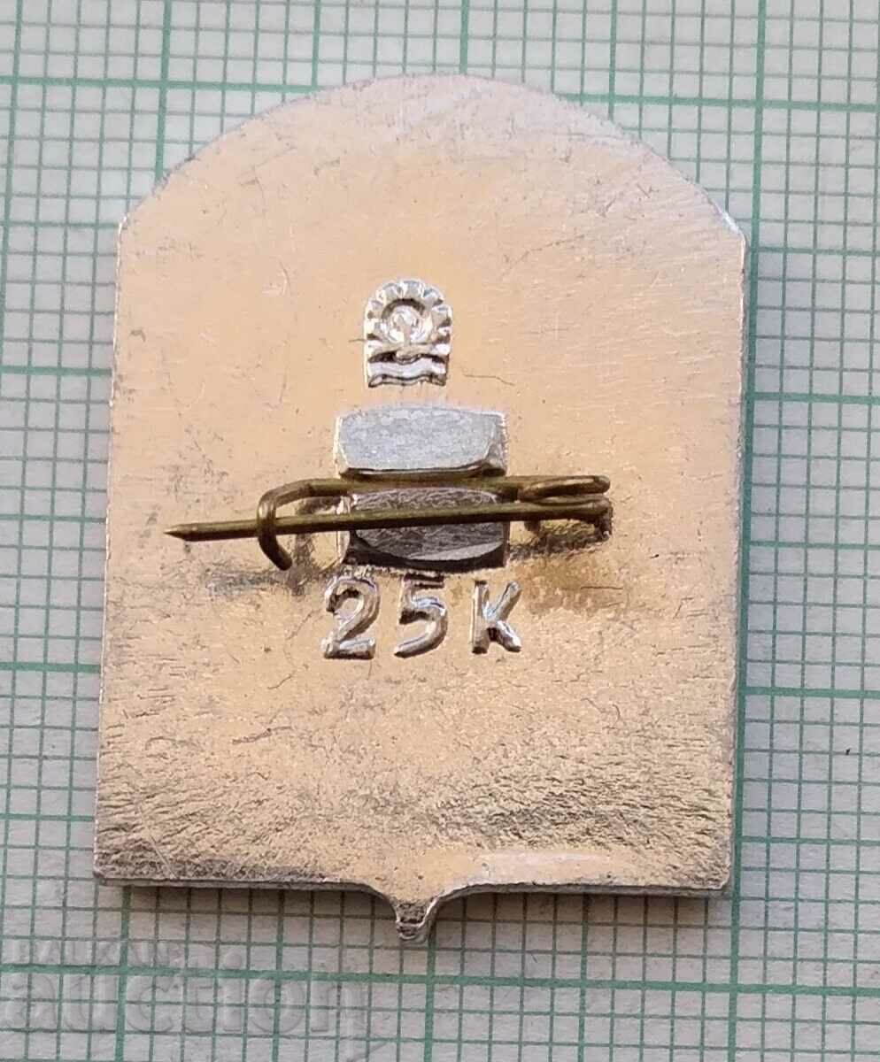 Auction 14234 Badge - USSR cities - Zheleznogorsk Auction 14234 Badge - USSR cities - Zheleznogorsk