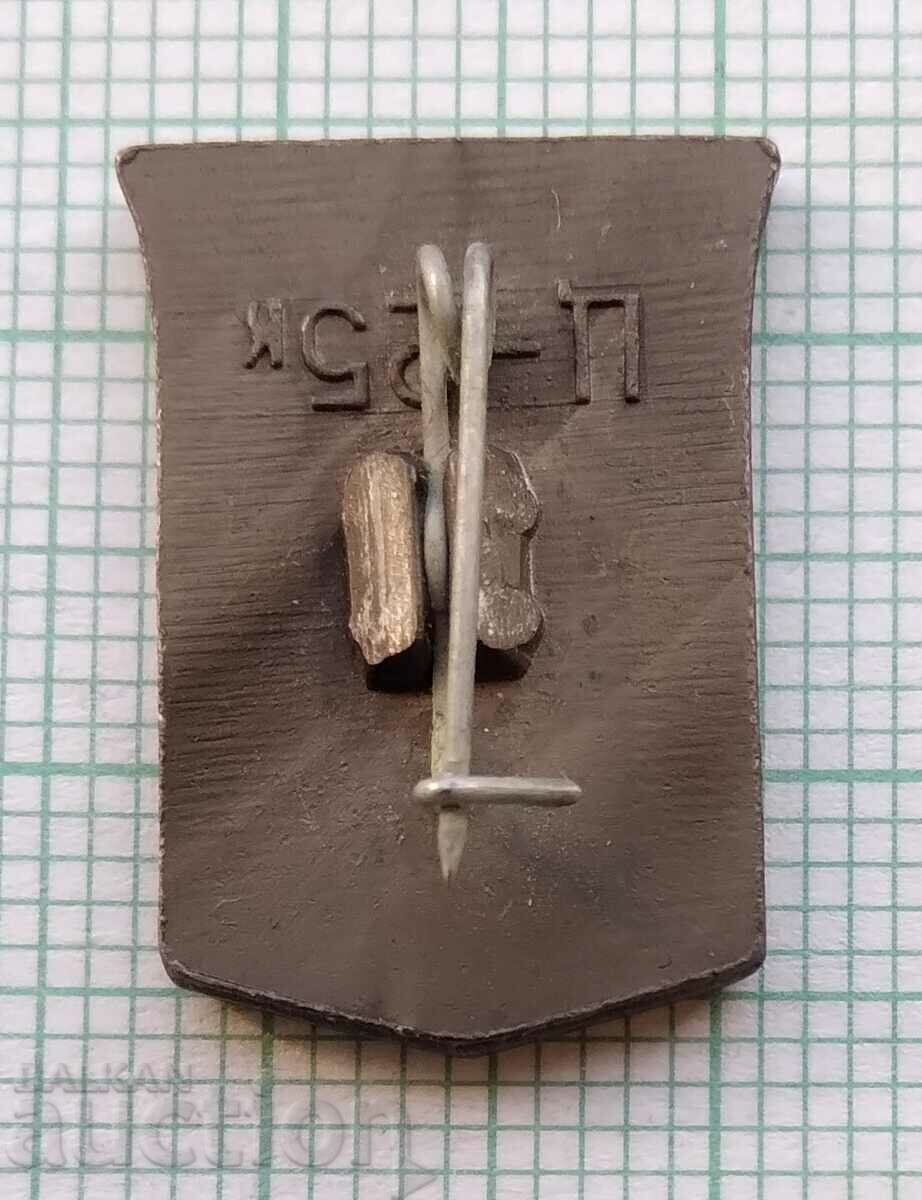 Delivery of 14242 Badge - USSR cities - Gorky Delivery of 14242 Badge - USSR cities - Gorky