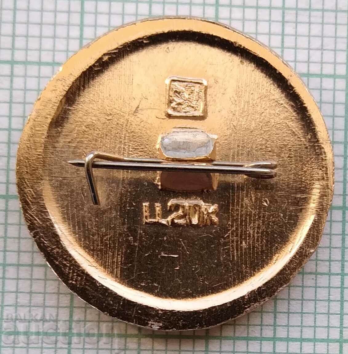 Auction 14243 Badge - Ancient Rus - Kharkiv Auction 14243 Badge - Ancient Rus - Kharkiv