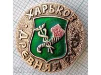 14243 Badge - Ancient Rus - Kharkiv