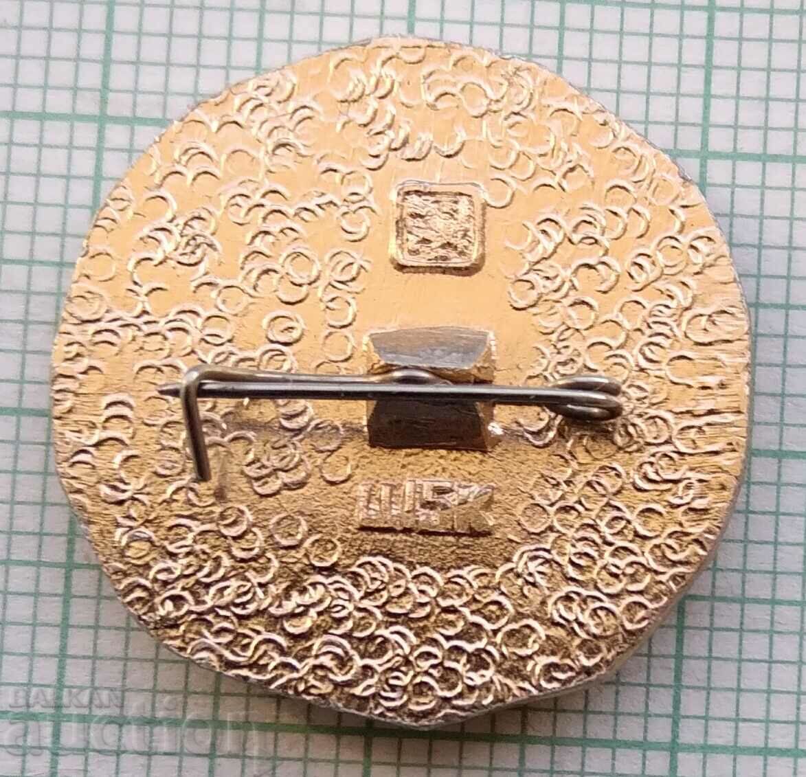 Auction 14245 Badge - Ancient Rus - Irkutsk Auction 14245 Badge - Ancient Rus - Irkutsk