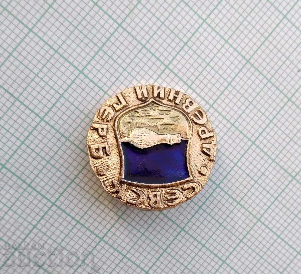 Auction 14246 Badge - Ancient coat of arms - Sevsk Auction 14246 Badge - Ancient coat of arms - Sevsk