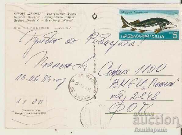 Κάρτα Bulgaria Varna Kurort Druzhba Hotel Varna 1* με τιμή 0.80 BGN | € 0.41 Κάρτα Bulgaria Varna Kurort Druzhba Hotel Varna 1* με τιμή 0.80 BGN | € 0.41