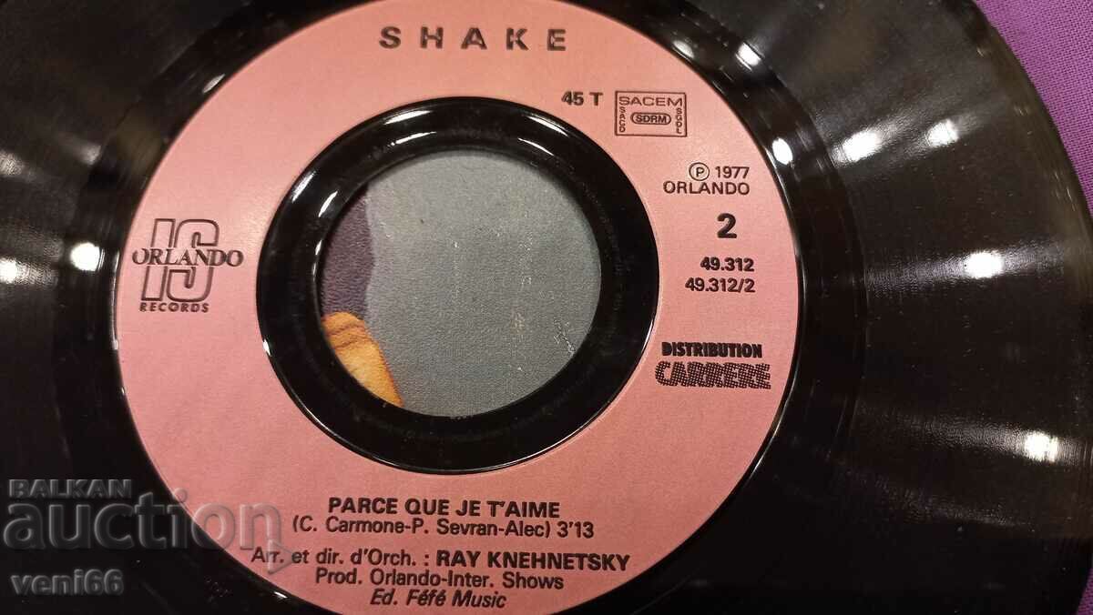 Auction  Turntable - small format Shake