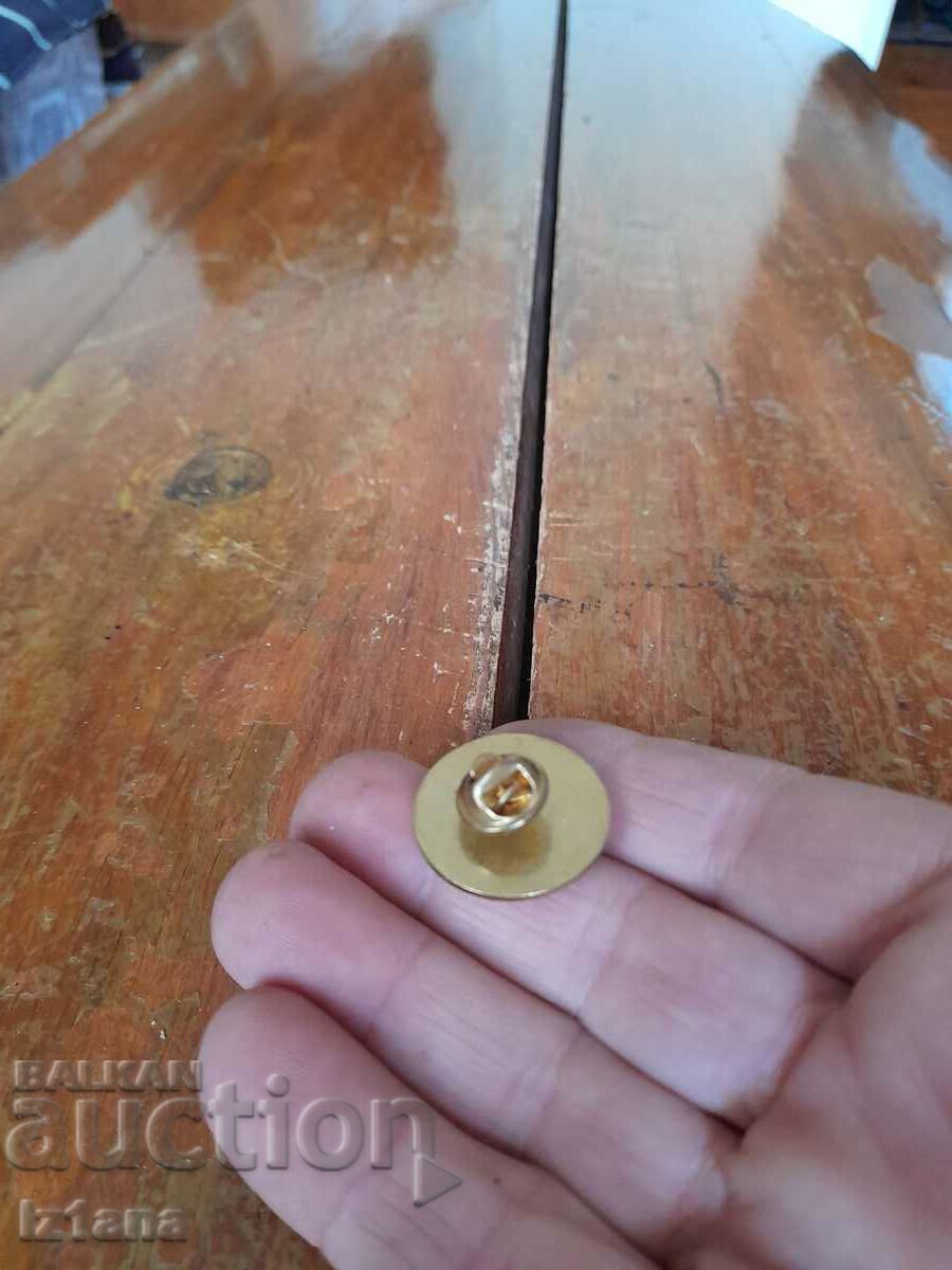 Licitație Insigna de bowling DP