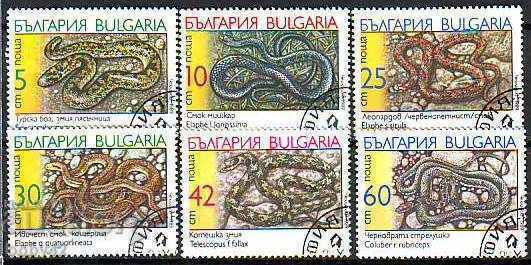BK 3805-810 μπλοκ-φύλλο, γραμματόσημο Φίδια