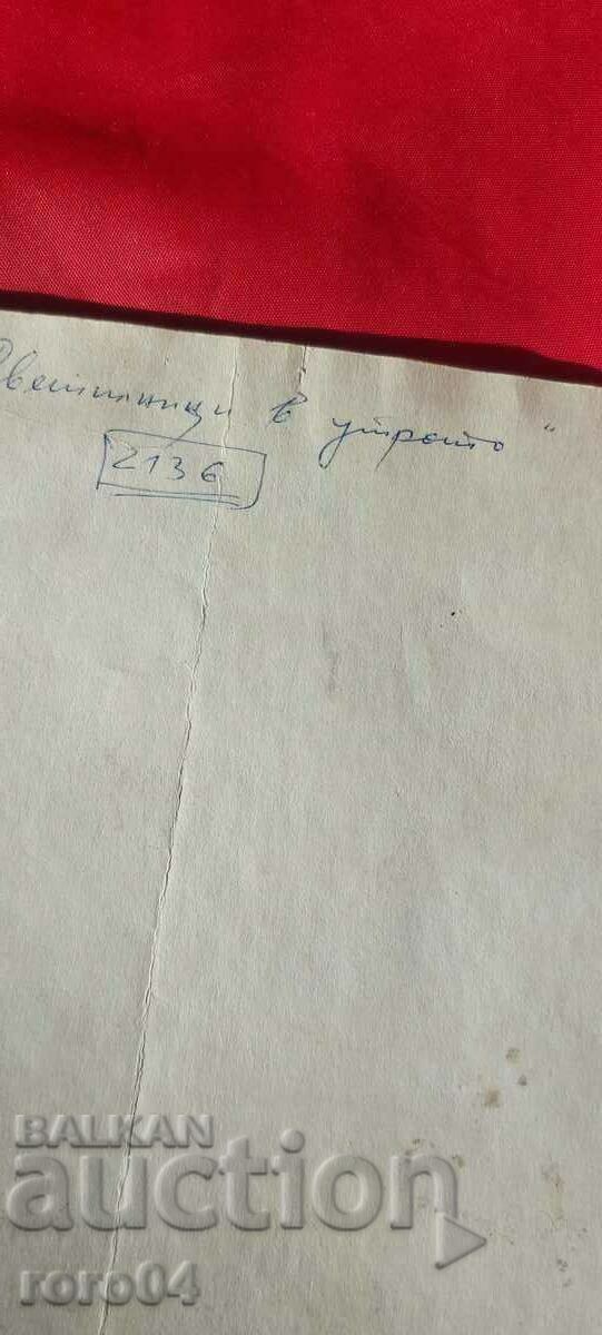 RALITSA NIKOLOVA - FORZATS - LAMPS IN THE MORNING - 6 RALITSA NIKOLOVA - FORZATS - LAMPS IN THE MORNING - 6