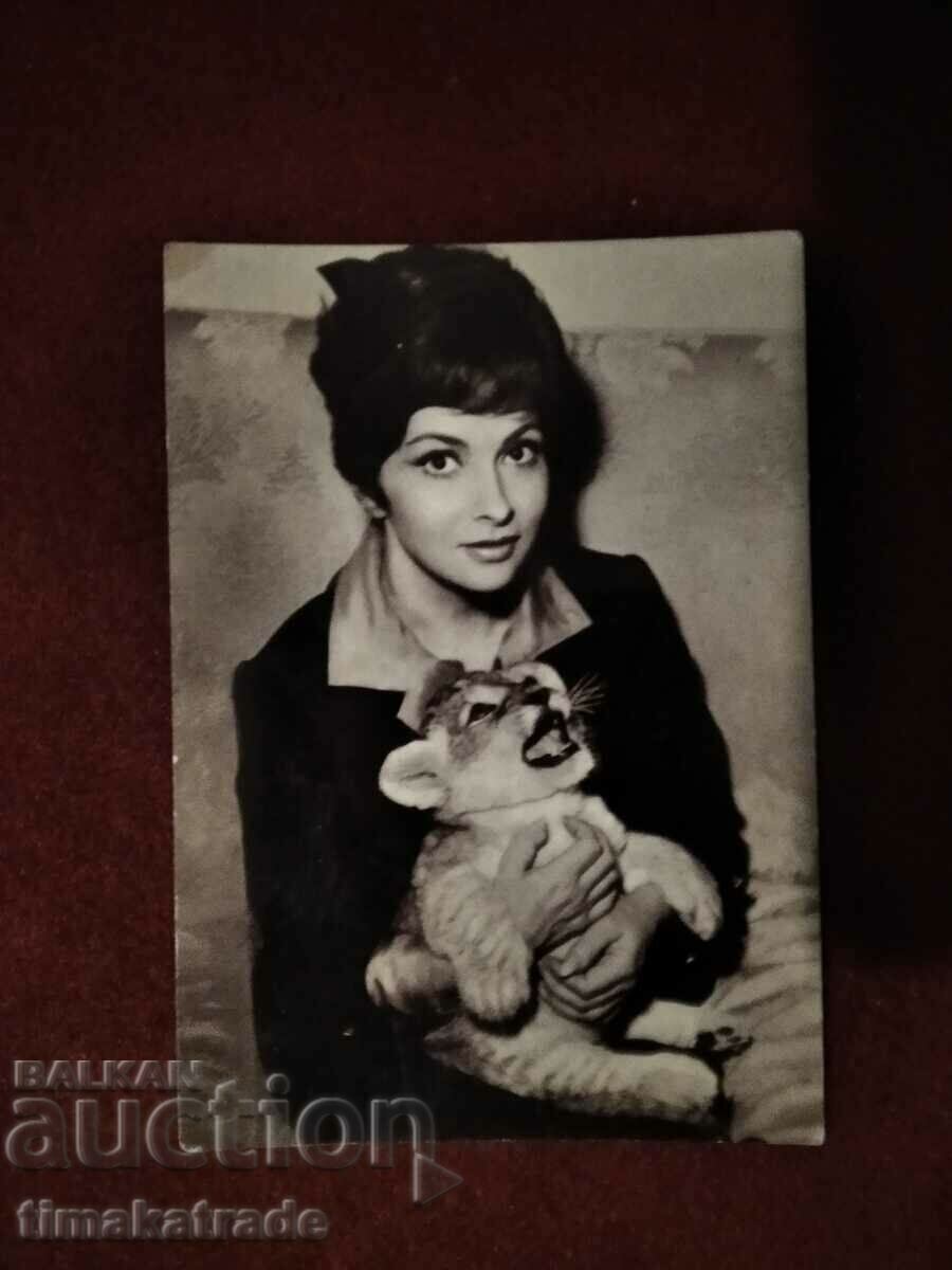 Κάρτα/φωτογραφία Ιταλίδα ηθοποιός Gina Lollobrigida