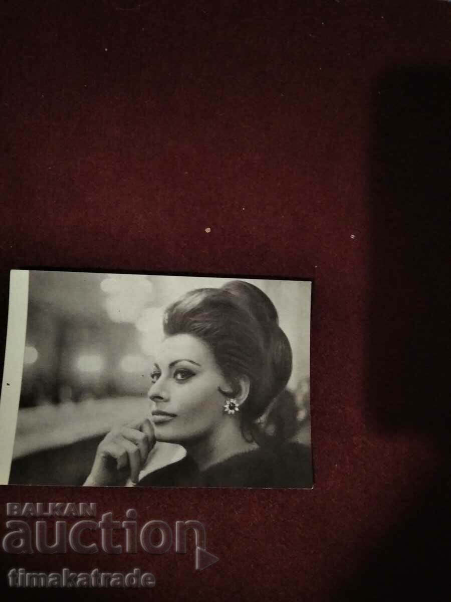 Card/foto Actrița italiană Sophia Loren