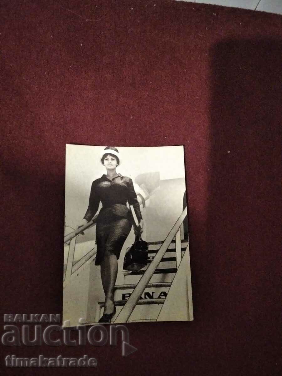Картичка/снимка италианската актриса София Лорен