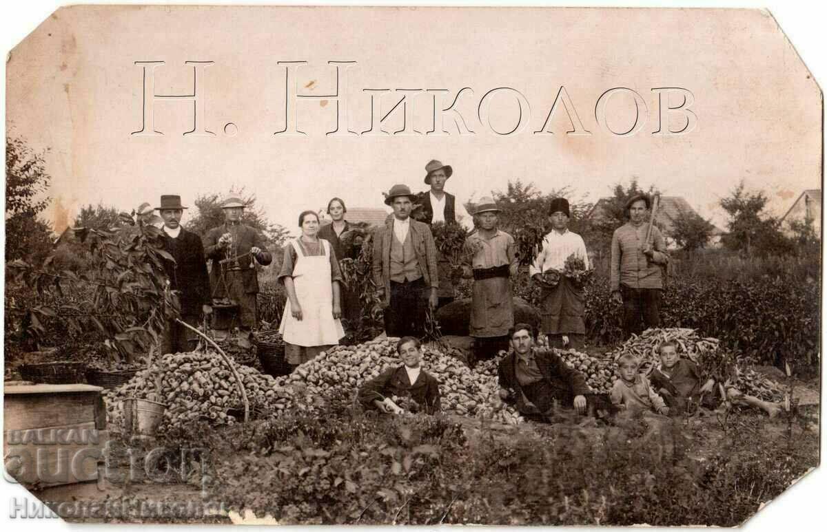 OLD PHOTO BULGARIAN FARMERS IN NOVI KNEZEVAC SERBIA G560
