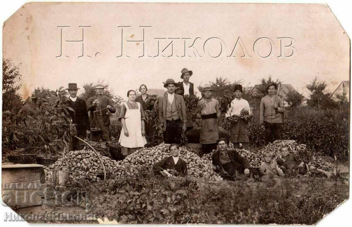 OLD PHOTO BULGARIAN FARMERS IN NOVI KNEZEVAC SERBIA G560
