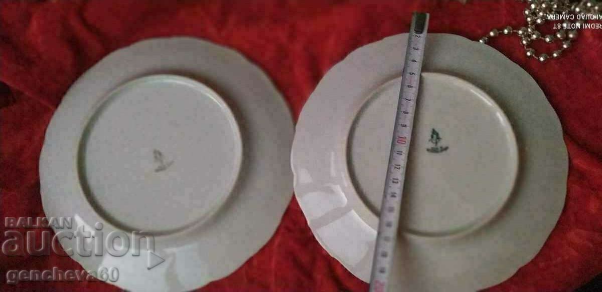 Delivery of TWO Beautiful Complementary Plates/Czechoslovakia Delivery of TWO Beautiful Complementary Plates/Czechoslovakia