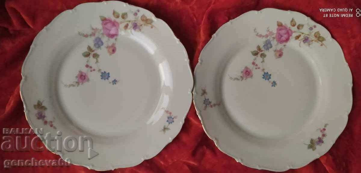 TWO Beautiful Complementary Plates/Czechoslovakia