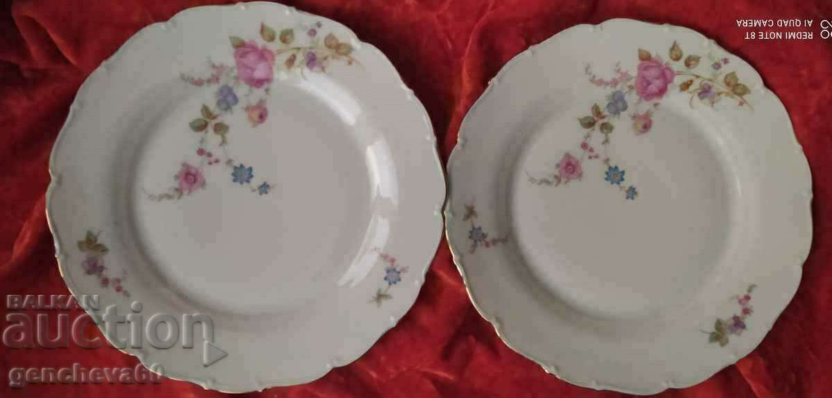 TWO Beautiful Complementary Plates/Czechoslovakia