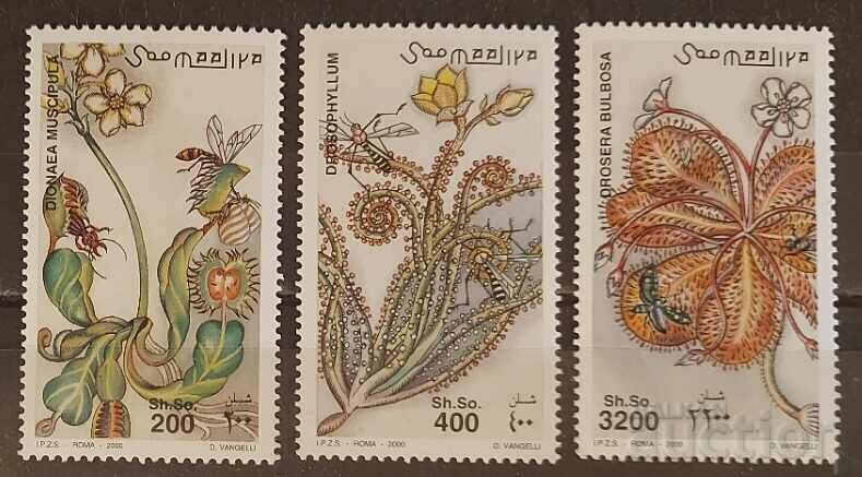 Somalia 2000 Flora 14.25 € MNH
