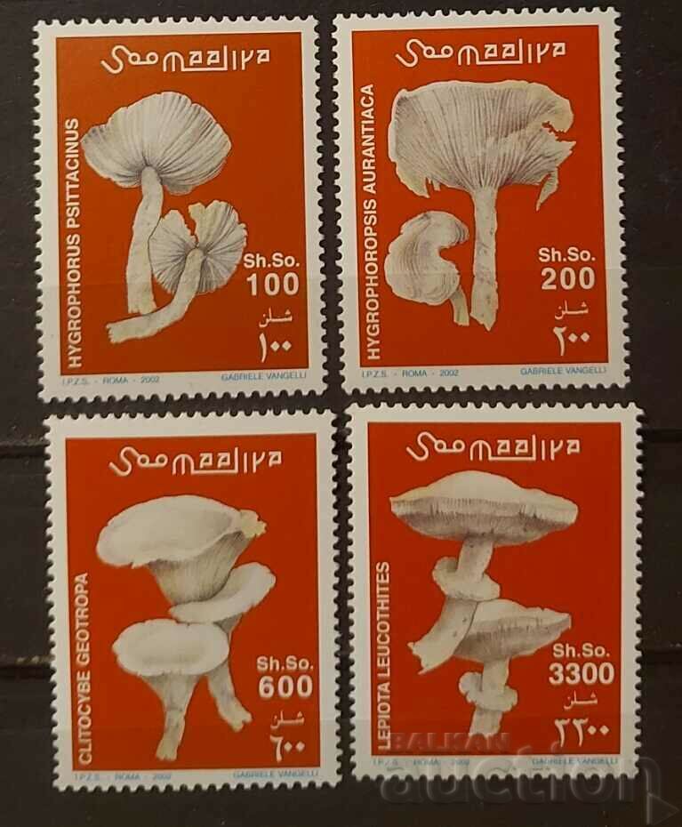 Somalia 2002 Flora/Fungi €15 MNH