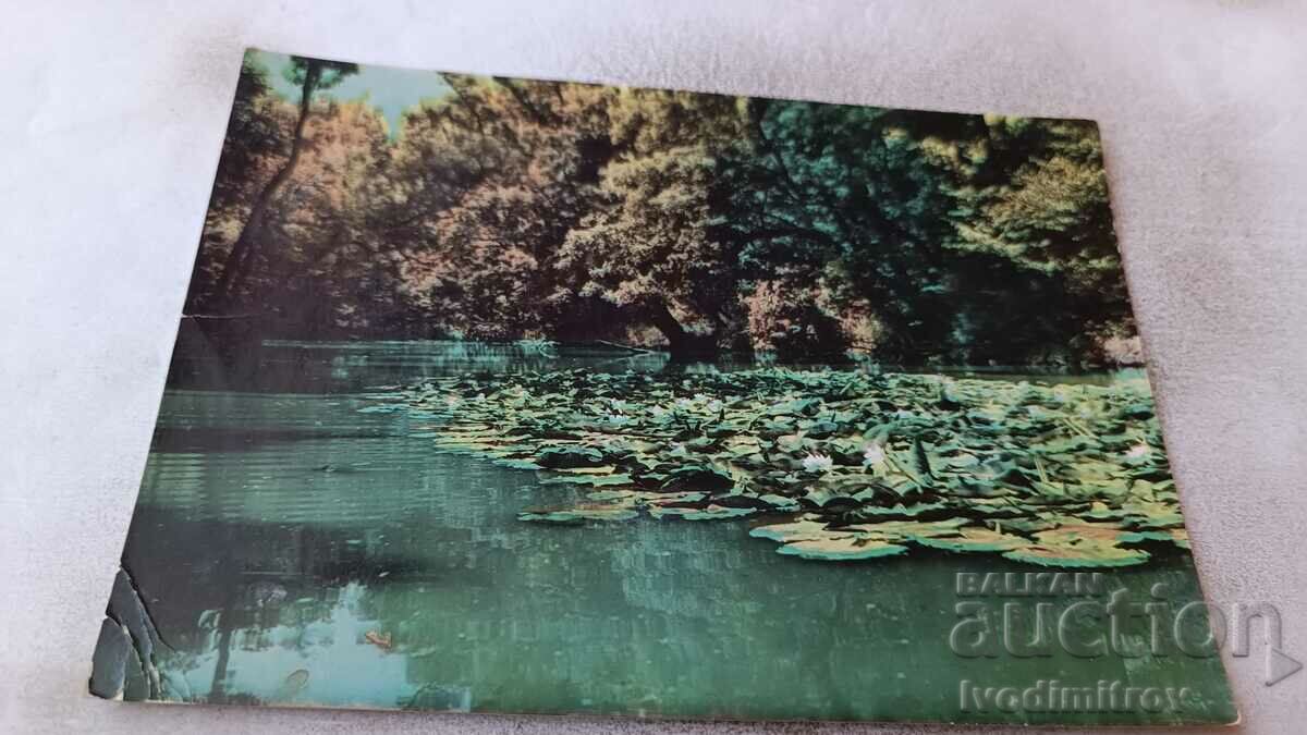 Carte poștală Varna Kamchia River 1961