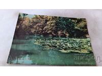 Postcard Varna Kamchia River 1961