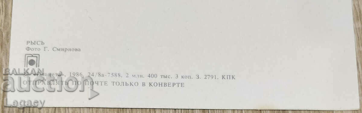 Δημοπρασία USSR Post Card 1986, Series Animals - Εικ