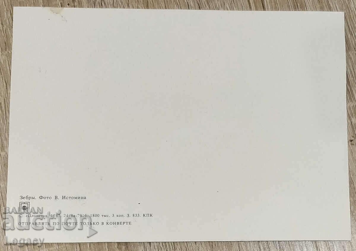 USSR Post Card 1987, Series Animals - Zebras with price 6.99 BGN | € 3.57 USSR Post Card 1987, Series Animals - Zebras with price 6.99 BGN | € 3.57