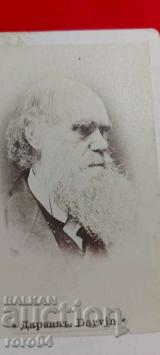 DARWIN with price 8.99 BGN | € 4.60 DARWIN with price 8.99 BGN | € 4.60