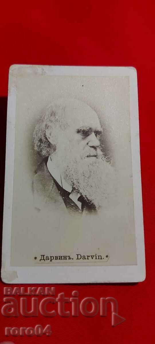 Auction DARWIN Auction DARWIN