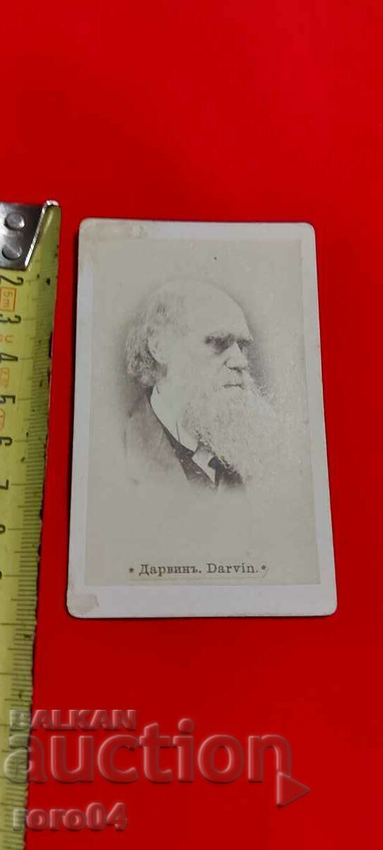 Delivery of DARWIN Delivery of DARWIN