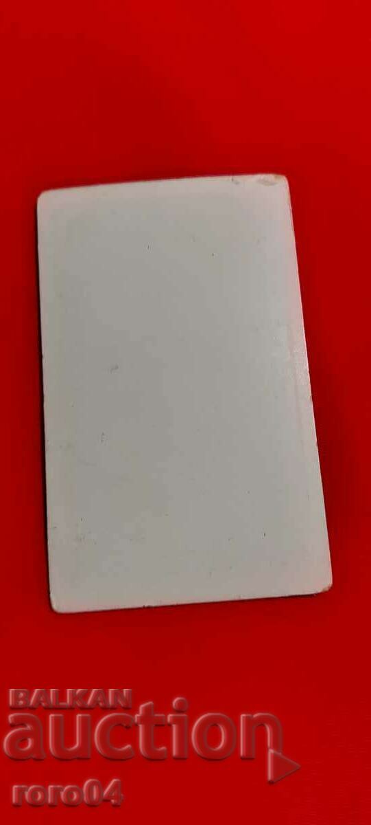 DARWIN - 6 DARWIN - 6