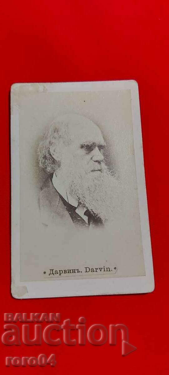 DARWIN - 7 DARWIN - 7