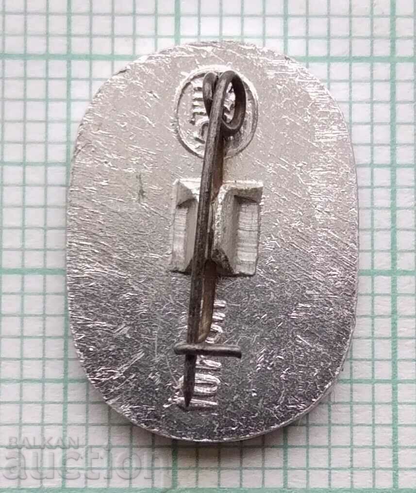 Auction 14411 Badge Auction 14411 Badge