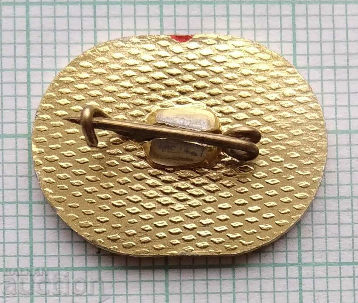 Auction  14413 Badge - 25 years National Youth