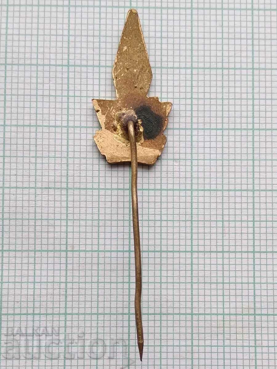 Auction 14417 DOSO Radio amateur Telegraphist - bronze enamel Auction 14417 DOSO Radio amateur Telegraphist - bronze enamel