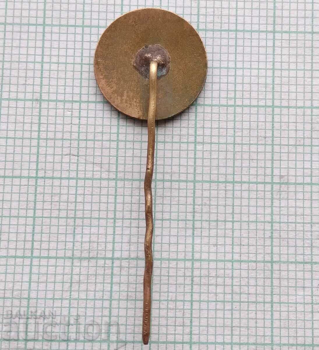 Auction 14420 - BFH Bulgarian Handball Federation - bronze enamel Auction 14420 - BFH Bulgarian Handball Federation - bronze enamel