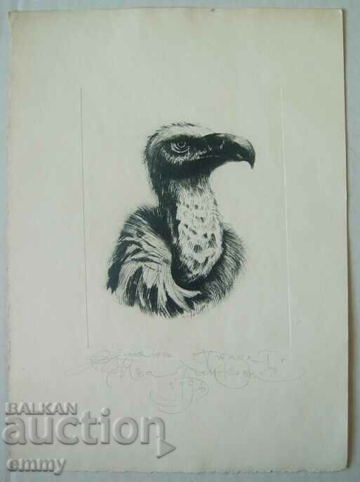 Γραφικό σχέδιο "Bird I" Iva Tsankova 1996, drypoint