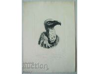 Graphic drawing "Bird I" Iva Tsankova 1996, drypoint