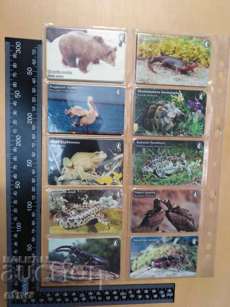 COLLECTION OF FONO CARDS, MAPS, PICTURES of animals