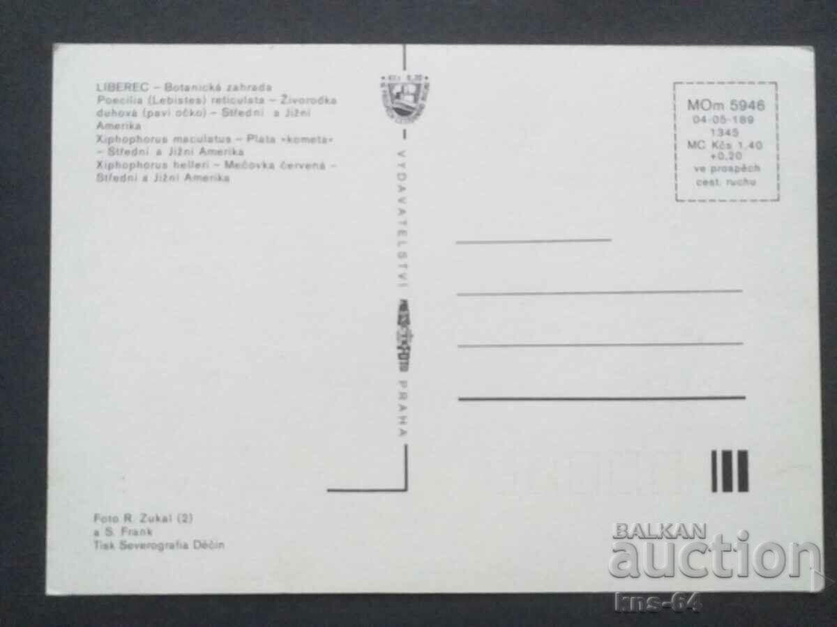 Риби с цена 0.80 лв. | € 0.41 Риби с цена 0.80 лв. | € 0.41