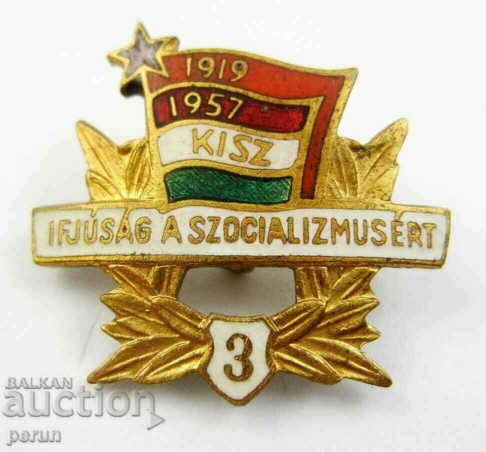 Old enamel badge-Hungary-Social-Youth organization-Third cl