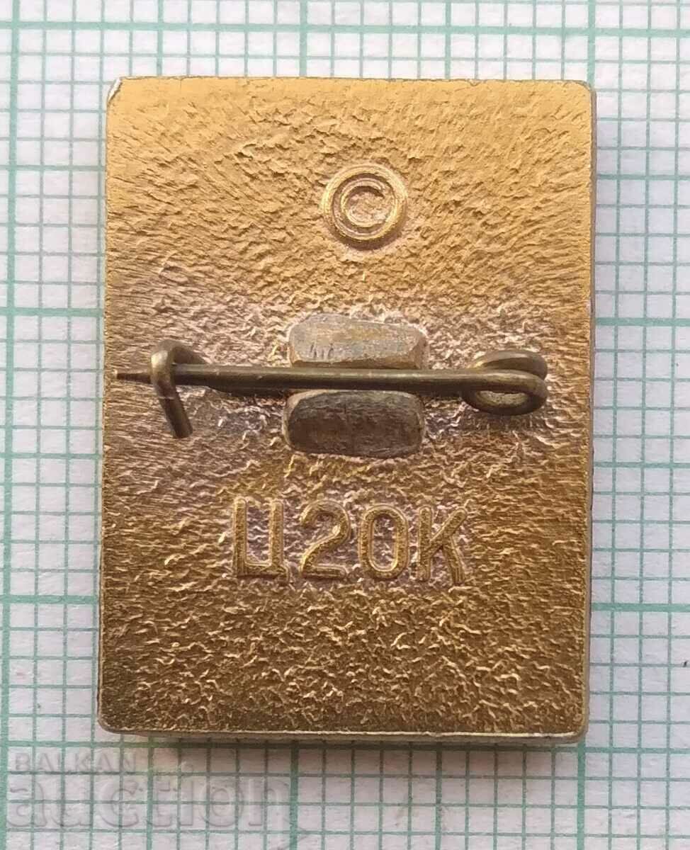 Auction 14475 Badge - ship Alexander Pushkin Auction 14475 Badge - ship Alexander Pushkin