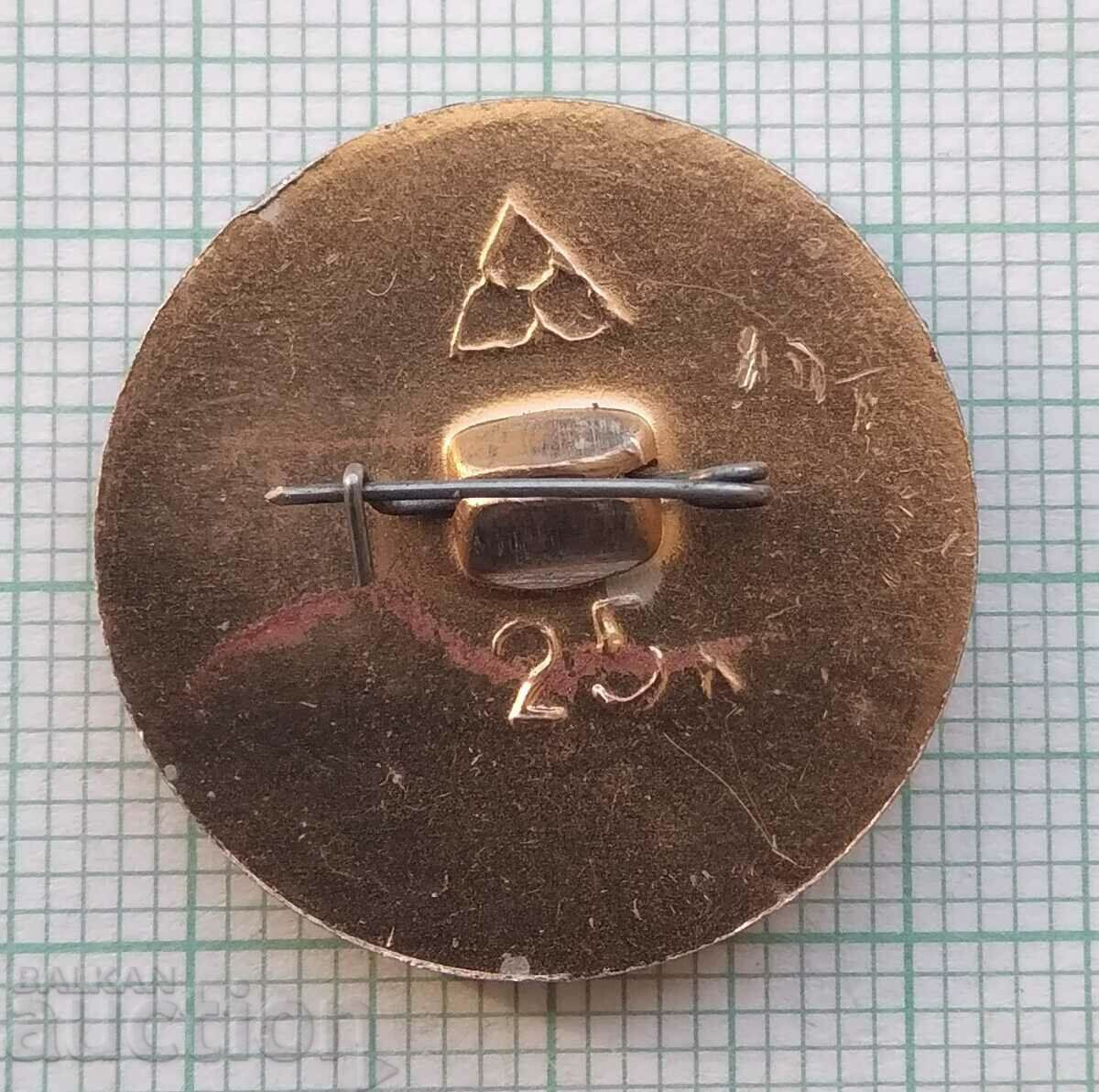 Licitație 14479 Insigna - Teatrul Dramatic Kuibyshev