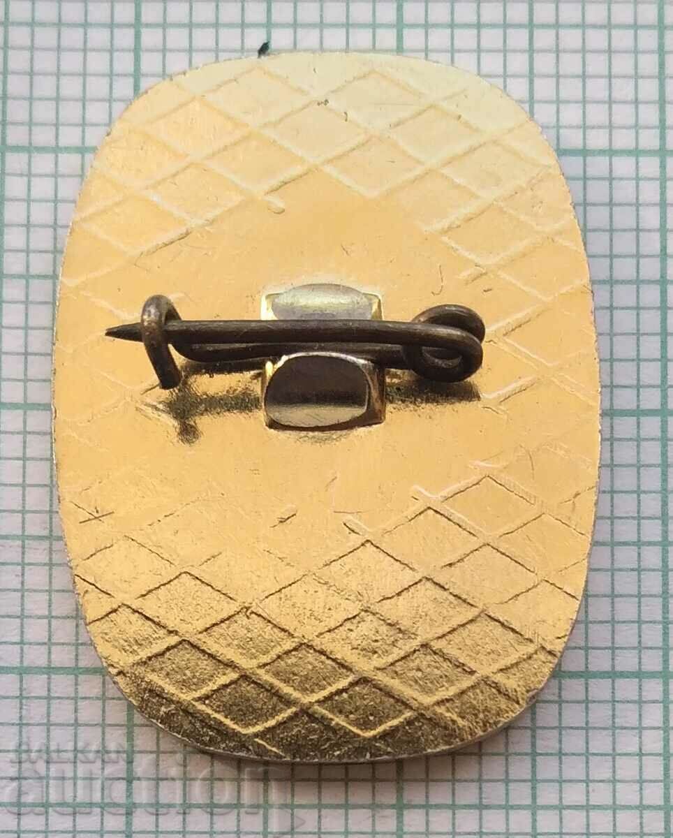 Auction 14485 Badge - Panorama Pleven epic 1877 Auction 14485 Badge - Panorama Pleven epic 1877