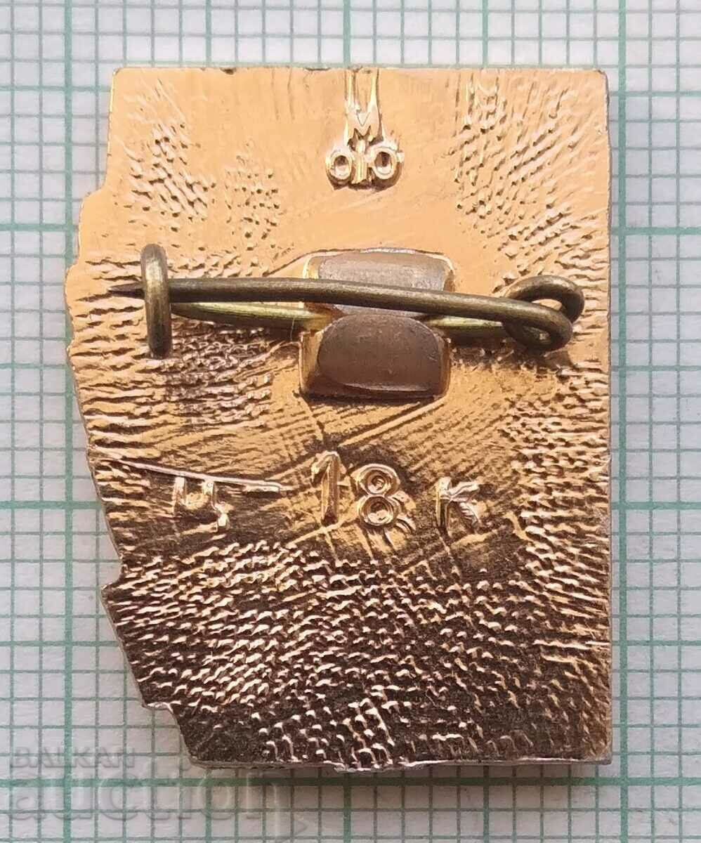 Auction 14488 Badge - Odessa city hero Auction 14488 Badge - Odessa city hero