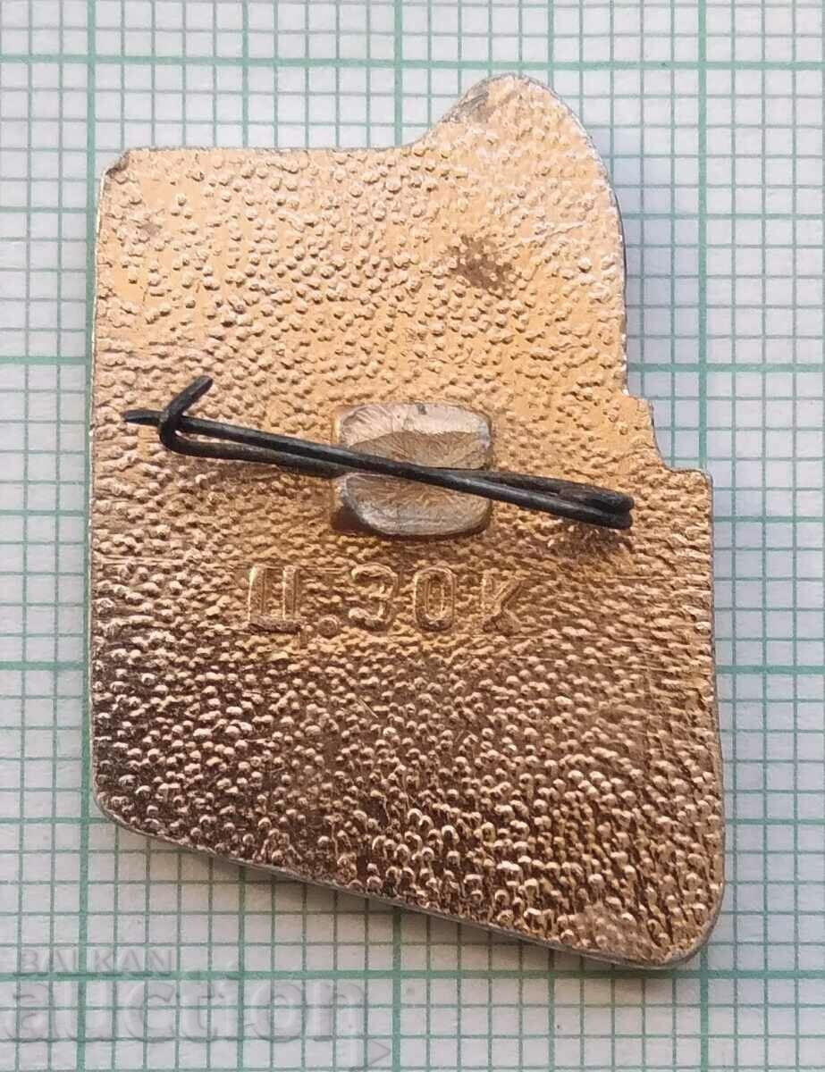 Auction  14490 Badge