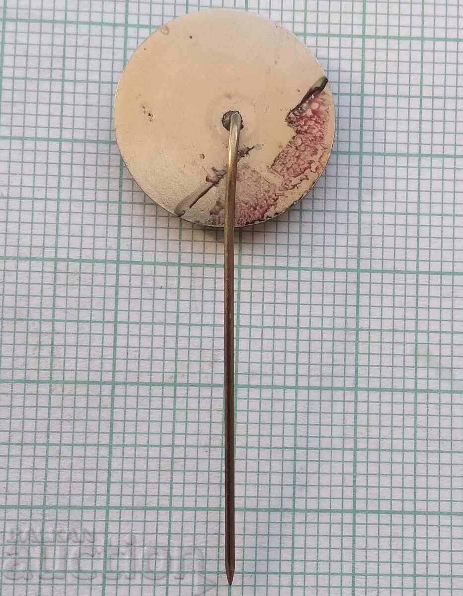 Delivery of 14495 Badge - DSO Hrantekstilmash Stara Zagora Delivery of 14495 Badge - DSO Hrantekstilmash Stara Zagora