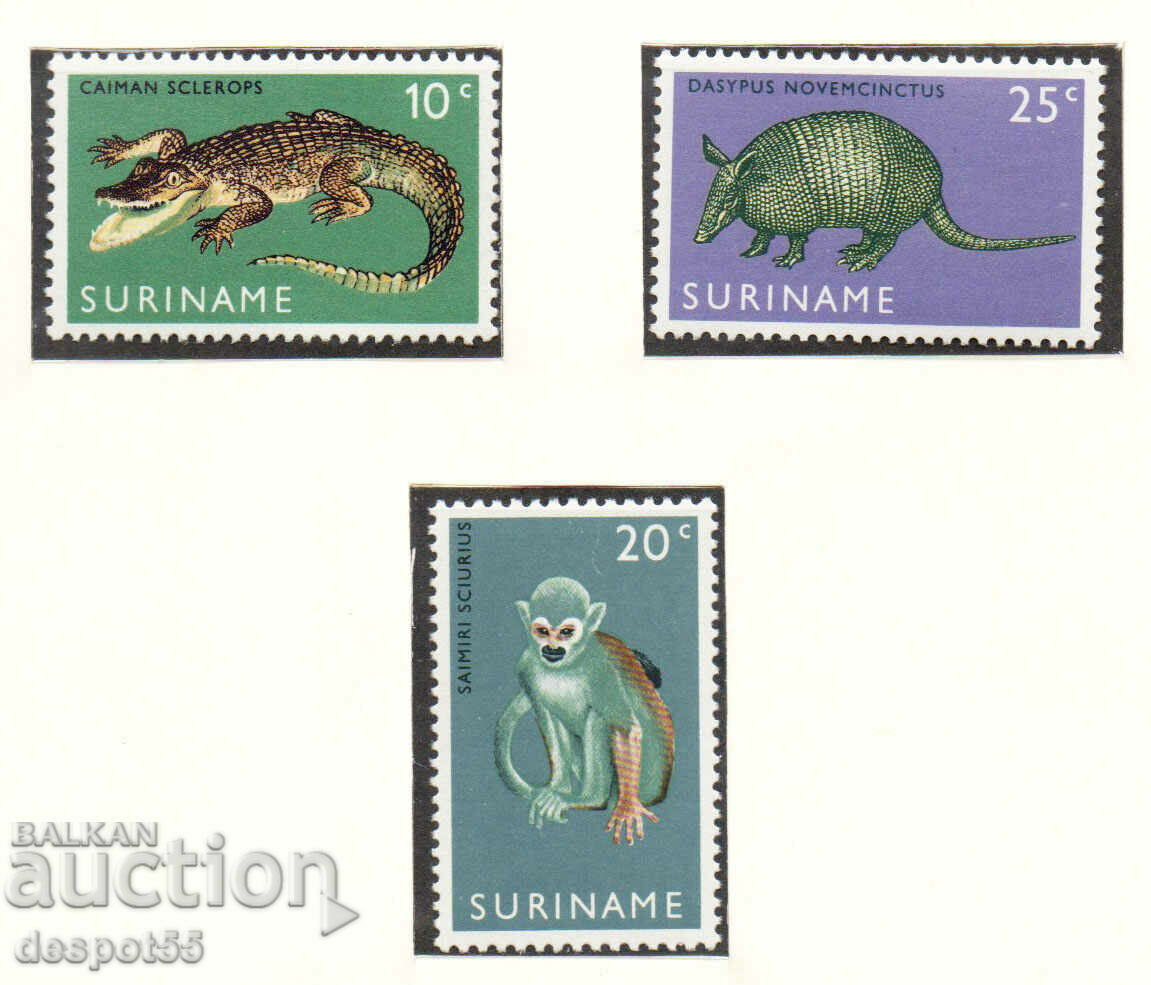 1969. Σουρινάμ. Εγκαίνια του ζωολογικού κήπου του Σουρινάμ, Παραμαρίμπο.