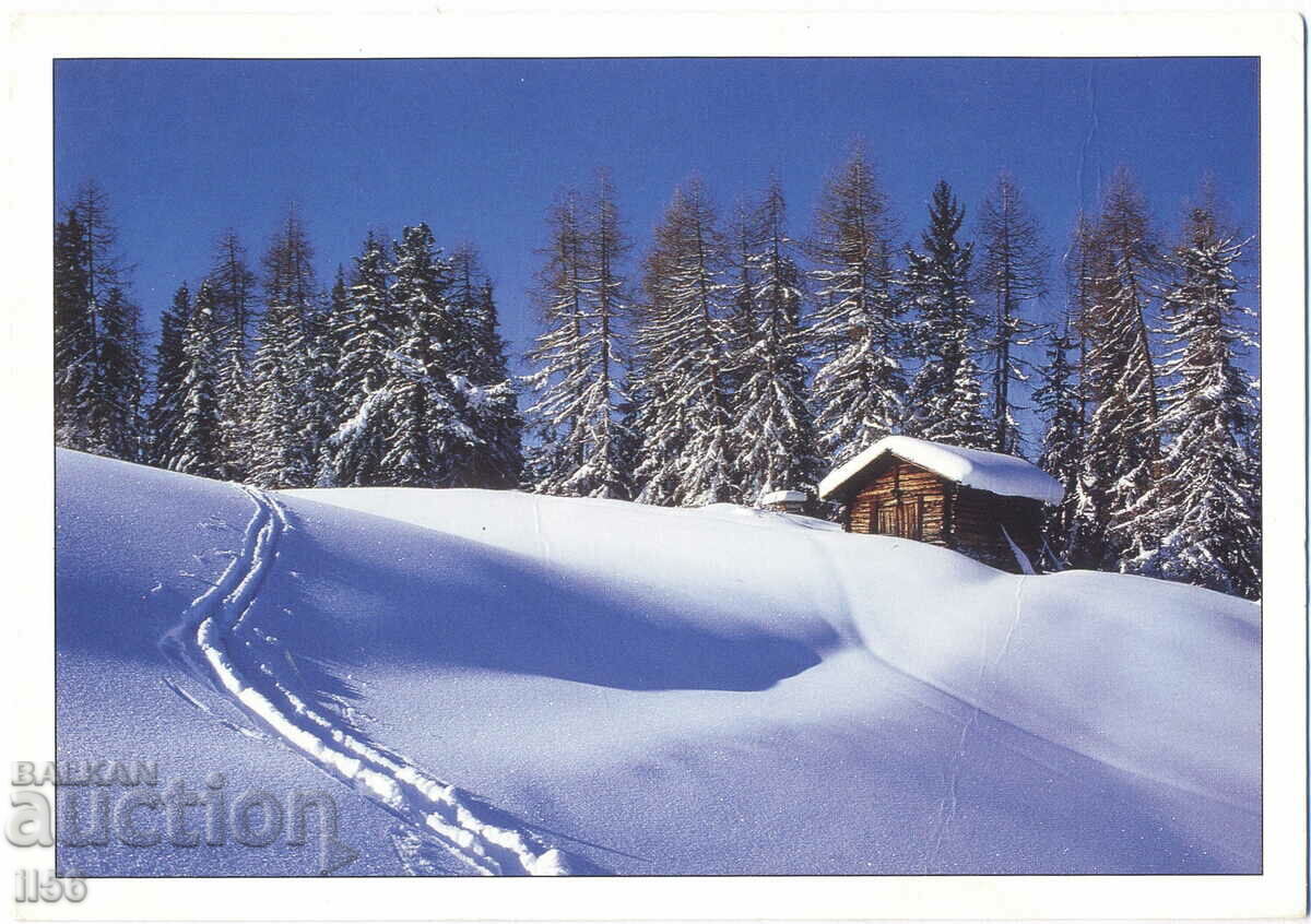 Franța - Haute-Savoie - adăpost sub zăpadă - 1996