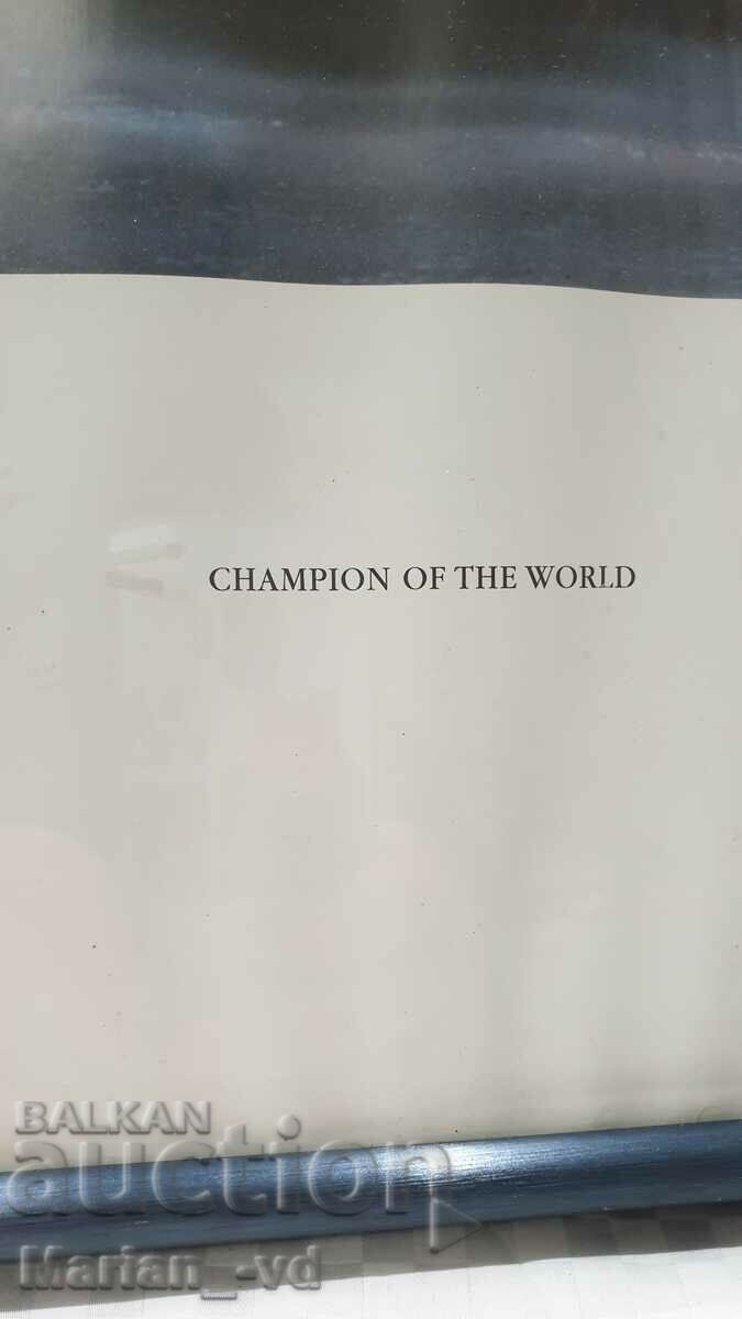 Delivery of Michael Schumacher Vintage Framed Poster Delivery of Michael Schumacher Vintage Framed Poster